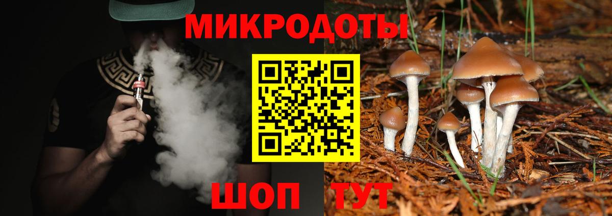 Галлюциногенные грибы Psilocybine cubensis  Вход с VPN  Черемхово 