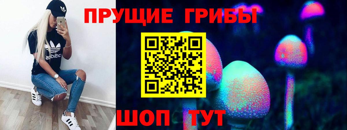 Псилоцибиновые грибы Psilocybine cubensis Черемхово